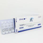 Imagem de Cipionato de Testosterona 250mg/ml 1ml amp ZPHC