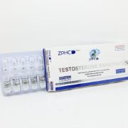 Imagem de Enantato de Testosterona 250mg/ml 1ml amp ZPHC