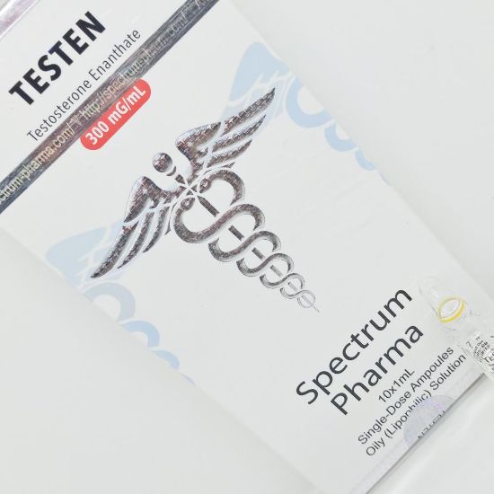 Imagem de TESTEN 250mg/ml 1ml amp [Spectrum Pharma]